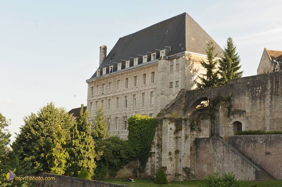 Nom de l'image : D30059192_1_(c)Norbert-JUNG — Description :